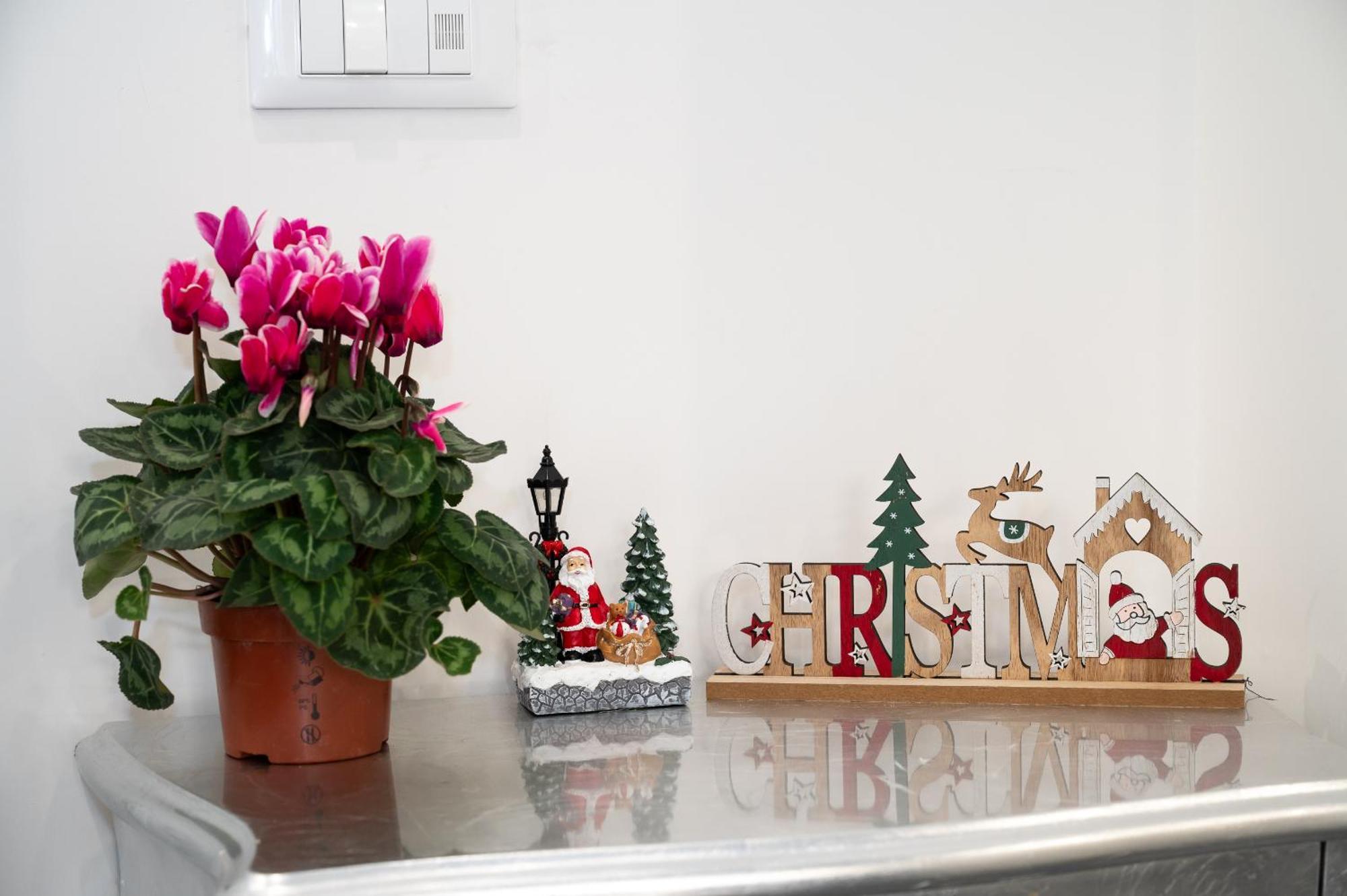 Apartment St. Peter Boutique Rom